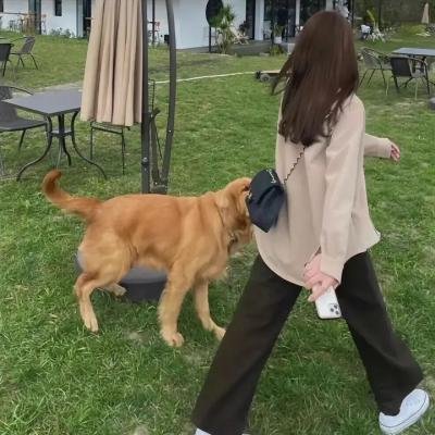 音你而来2