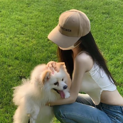 灵性的动物